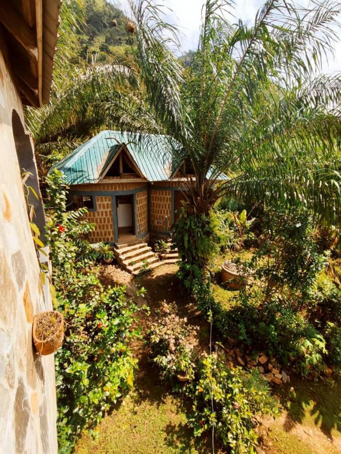 Maison Au Calme Dans La Nature Kpalimé 외부 사진