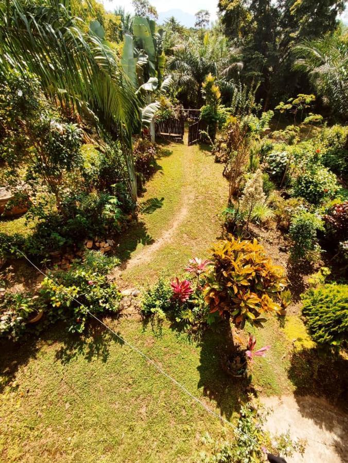 Maison Au Calme Dans La Nature Kpalimé 외부 사진