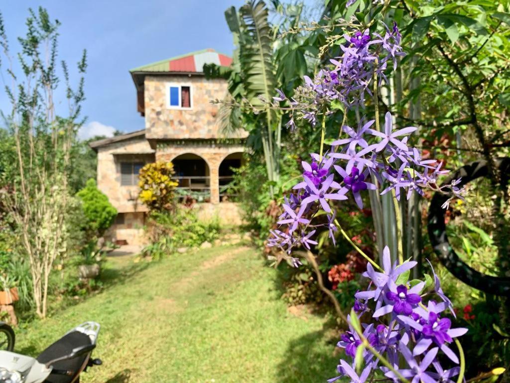 Maison Au Calme Dans La Nature Kpalimé 외부 사진